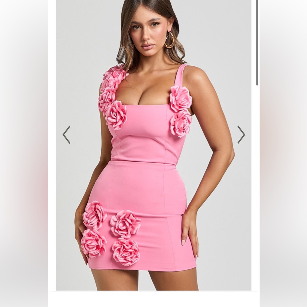 Showpo dress